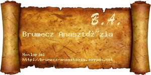 Brumecz Anasztázia névjegykártya